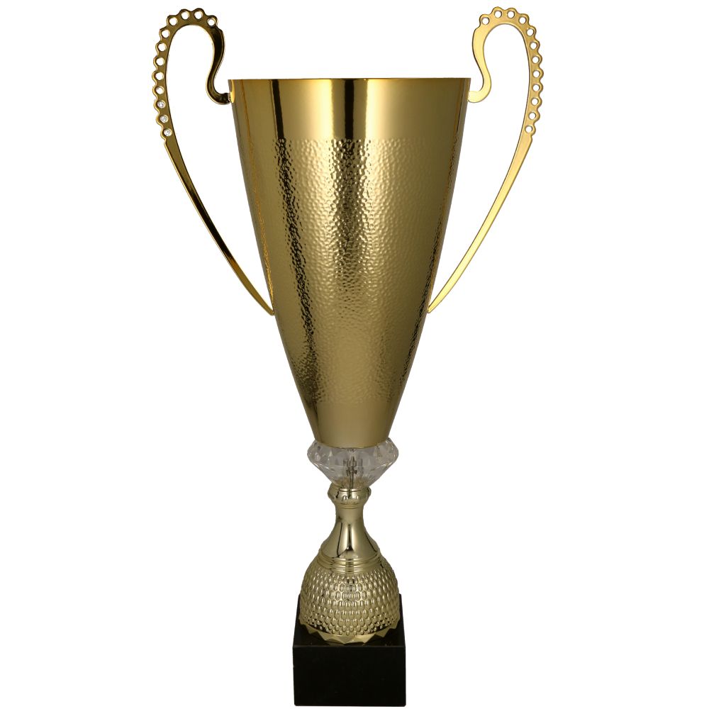 Puchar 1076