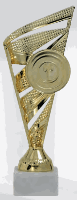 Puchar 8381/G