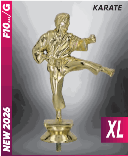 Figurka F10A/G — Karate — 20 cm