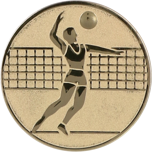 Emblemat aluminiowy A6 — Siatkówka