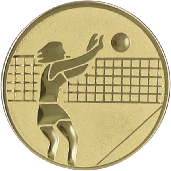 Emblemat aluminiowy A7 — Siatkówka