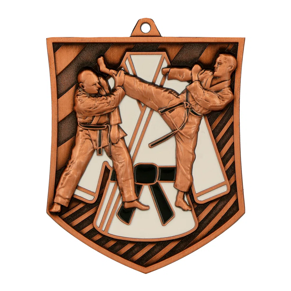 Medal odlewany MD8054 — Karate - obrazek 3
