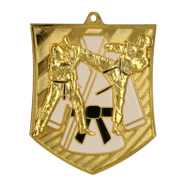 Medal odlewany MD8054 — Karate
