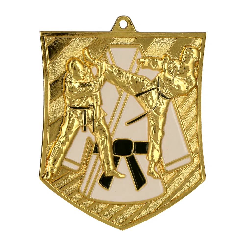 Medal odlewany MD8054 — Karate