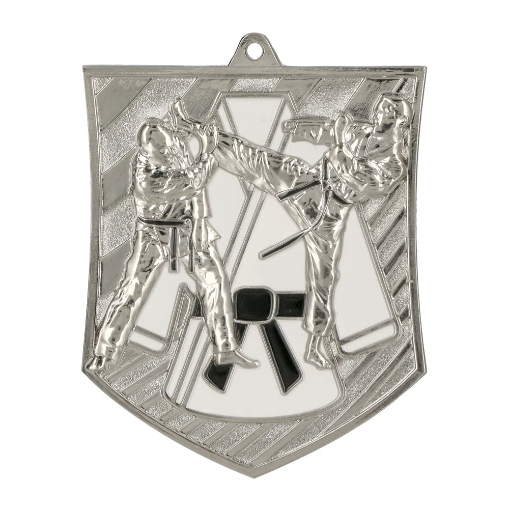 Medal odlewany MD8054 — Karate - obrazek 2